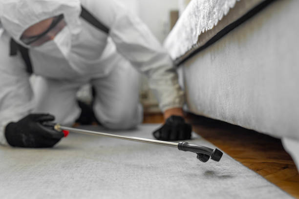 Professional Cockroach Control technician working in New Lisbon, WI