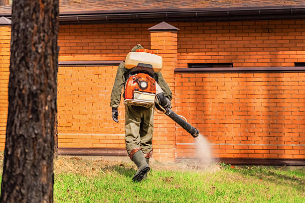 Trusted Termite Control service in New Lisbon, WI - Nex Pest Control